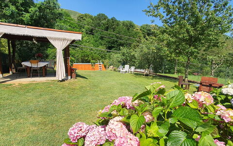 Casa Irene: Flower, Plant, Sky, Botany, Nature, Petal, Tree, Natural Landscape, Grass, Landscape