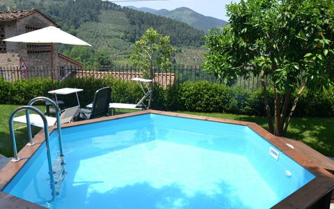 Casa Max: Swimming Pool, Property, Leisure, Resort, House, Eco Hotel, Real Estate, Backyard, Grass, Tree