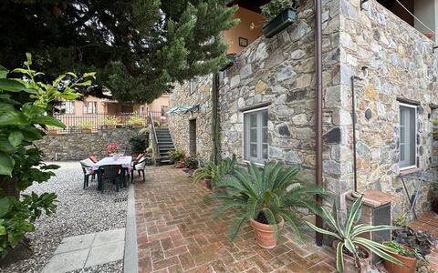 Casa Max: Plant, Property, Flowerpot, Building, Window, Houseplant, Architecture, Road Surface, Flooring, Tree