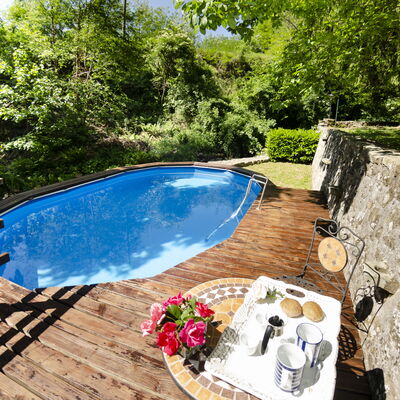 Il Molino: Water, Plant, Property, Swimming Pool, Flower, Tree, Outdoor Furniture, Body Of Water, Shade, Wood