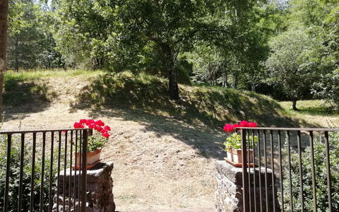 Vignoli: Nature, Vegetation, Tree, Property, Garden, Botany, Nature Reserve, Spring, Plant, Grass