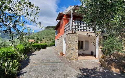 Podere San Martino: Plant, Sky, Cloud, Building, Window, Tree, Real Estate, Landscape, Cottage, Facade