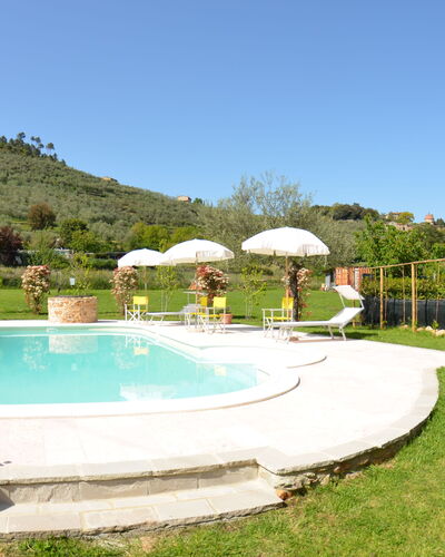 Al Vecchio Pozzo: Swimming Pool, Property, Real Estate, Estate, House, Grass, Building, Residential Area, Home, Villa