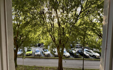 Alle Mura: Vehicle, Car, Tree, Motor Vehicle, Wheel, Transport, Automotive Exterior