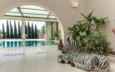 Terrazza e Libreria: Plant, Interior Design, Building, Window, Tree, Arecales, Flooring, Wood, Real Estate, Grass