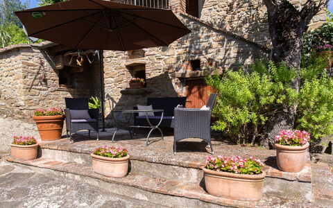 Villa i Cocciai: Backyard, Flowerpot, Patio, Yard, Umbrella, Plant, Tree, Landscape, House, Landscaping