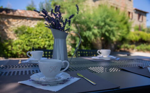 Villa i Cocciai: Table, Cup, Drinkware, Tree, Tableware, Coffee Cup, Plant, Serveware, Tablecloth, Teacup
