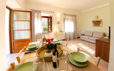 Accommodation:&nbsp;Serenella