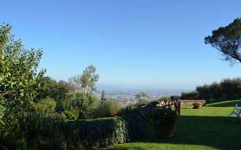 Aurora: Sky, Green, Tree, Grass, Morning, Cloud, Rural Area, Leaf, Grass Family, Land Lot