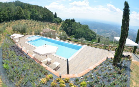 Villa Orchidea: Swimming Pool, Property, Villa, House, Real Estate, Building, Estate, Vacation, Apartment, Leisure