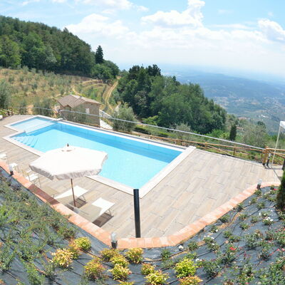 Villa Orchidea: Swimming Pool, Property, Villa, House, Real Estate, Building, Estate, Vacation, Apartment, Leisure