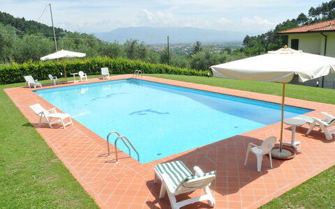 Villa Vaniglia Proprietà: Swimming Pool, Property, Grass, Leisure, Real Estate, House, Shade, Rectangle, Building, Villa