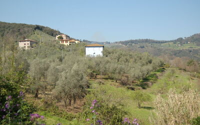 Villa Vaniglia