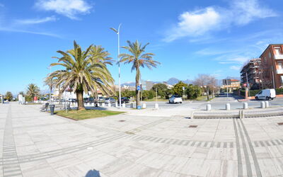 Delfino