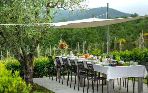 Borgo Gerlino: Umbrella, Table, Outdoor Table, Garden, Yard, Furniture, Grass, Backyard, Patio, Lawn