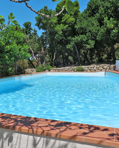 Ciuffini: Water, Property, Plant, Sky, Swimming Pool, Nature, Azure, Shade, Rectangle, Tree