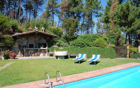 Al Mennucci: Property, Swimming Pool, Real Estate, Backyard, House, Yard, Home, Grass, Leisure, Estate