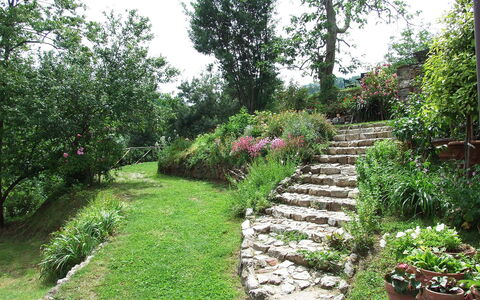 Bottino: Garden, Vegetation, Botanical Garden, Natural Landscape, Property, Plant, Yard, Tree, Botany, Grass