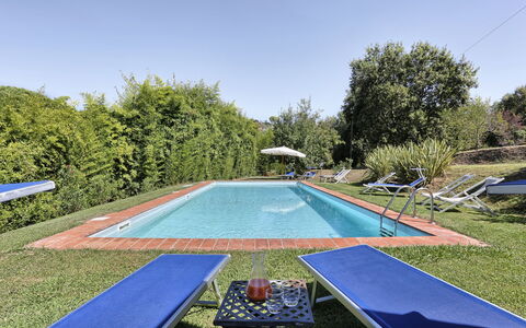 Casa Rosa: Swimming Pool, Property, Grass, Leisure, Real Estate, Tree, House, Backyard, Home, Estate