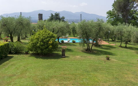 Casa Tonio: Land Lot, Grassland, Natural Landscape, Property, Grass, Sport Venue, Hill Station, Tree, Landscape, Meadow