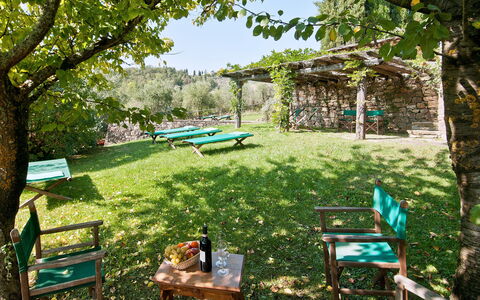 Casavecchia: Plant, Green, Shade, Tree, Botany, Outdoor Furniture, Vegetation, Natural Landscape, Grass, Biome