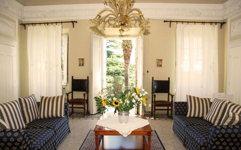 Fubbiano: Living Room, Room, Interior Design, Furniture, Property, Building, Ceiling, Yellow, House, Curtain