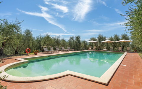La Fonte: Garden, Hacienda, Landscaping, Estate, Swimming Pool, Yard, Villa, Resort, Eco Hotel, Backyard