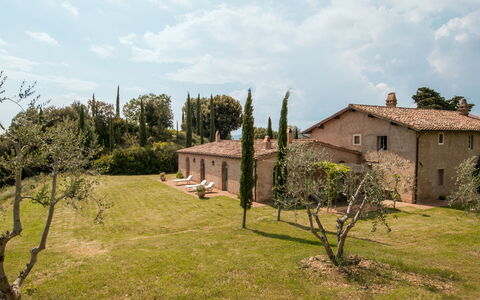 Lavacchio 12: Plant, Sky, Cloud, Ecoregion, Window, Tree, Land Lot, Building, Natural Landscape, Grass