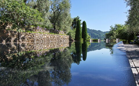 Macennere: Body Of Water, Waterway, Water, Reflection, Canal, River, Watercourse, Tree, Water Resources, Natural Landscape