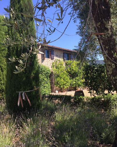 Macennere: Vegetation, Property, Tree, House, Sky, Building, Shrub, Grass Family, Rural Area, Architecture