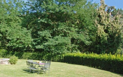 Magrini: Tree, Garden, Property, Natural Landscape, Grass, Shrub, Plant, Woody Plant, Botany, Lawn