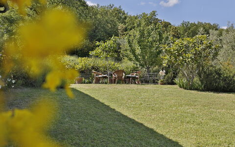 Ricavoli: Nature, Natural Landscape, Yellow, Property, Garden, Grass, Tree, Botany, Lawn, Landscape