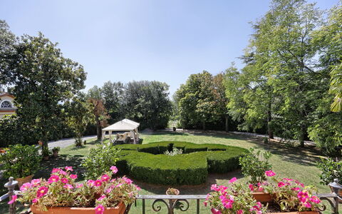 Villa Clara 20: Garden, Property, Botanical Garden, Botany, Real Estate, Estate, Plant, Tree, Yard, Flower