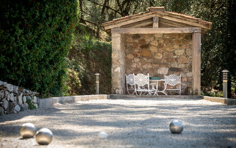 Villa Igea 13: Plant, Nature, Wood, Tree, Grass, Road Surface, Sunlight, Biome, Trunk, Public Space