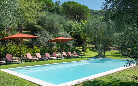 Villa Igea 13: Plant, Water, Property, Sky, Swimming Pool, Nature, Tree, Shade, Building, Umbrella