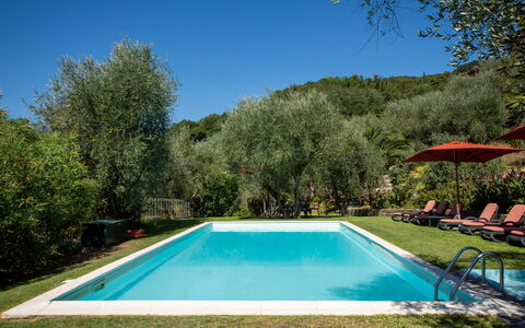 Villa Igea 13: Water, Sky, Plant, Property, Swimming Pool, Shade, Tree, Natural Landscape, Rectangle, Landscape