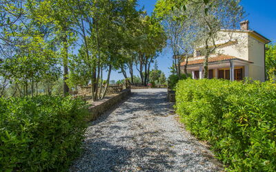 Casale Marittimo 607