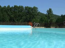 The fenced swimming pool area