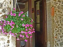 Beautiful old features