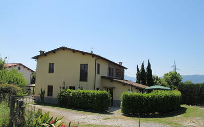 Lucca 656