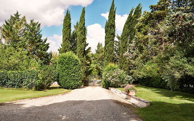 Colle Val D'Elsa 616