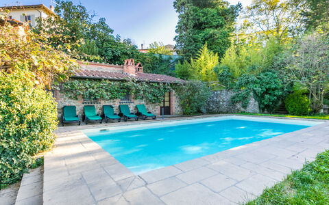 Belvedere: Water, Plant, Sky, Furniture, Swimming Pool, Azure, Chair, Body Of Water, Outdoor Furniture, Yellow