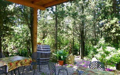 Accommodation:&nbsp;Alle Vacche 694.1