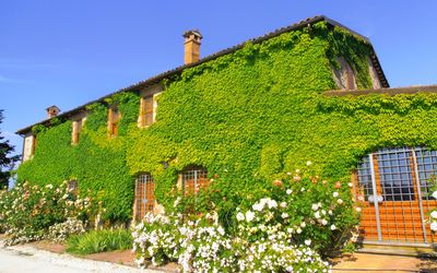 Villa Venanzo: Property, House, Green, Vegetation, Wall, Building, Cottage, Shrub, Plant, Rural Area