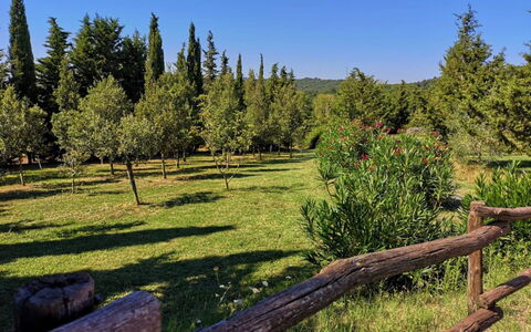 Villa Martina: Natural Landscape, Nature, Tree, Natural Environment, Wilderness, Nature Reserve, Biome, Fence, Forest