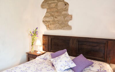 Accommodation:&nbsp;Tabaccaia