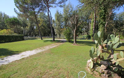 Garden view from the House