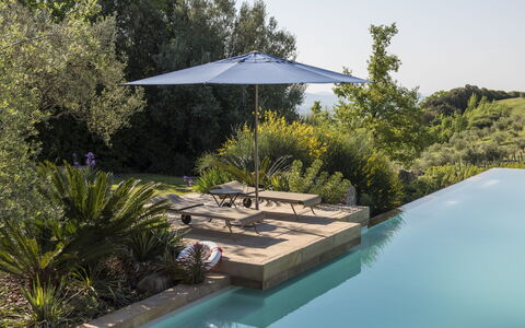 Sequerciani: Swimming Pool, Property, House, Backyard, Real Estate, Architecture, Home, Botany, Shade, Landscaping