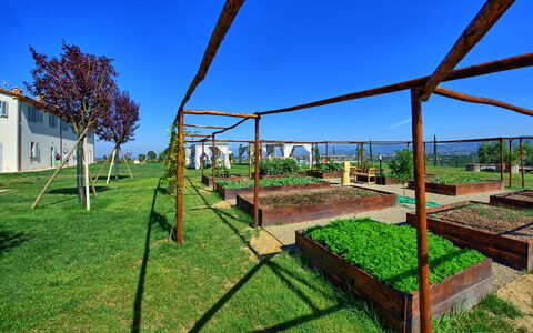 Il Sole Di Vino: Real Estate, Grass, Sky, Tree, Architecture, House, Land Lot, Rural Area, Landscape, Plant