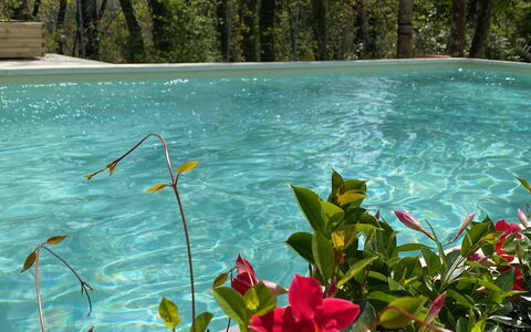 Villa La Casa Bianca: Water, Flower, Plant, Plant Community, Green, Natural Landscape, Terrestrial Plant, Vegetation, Petal, Watercourse